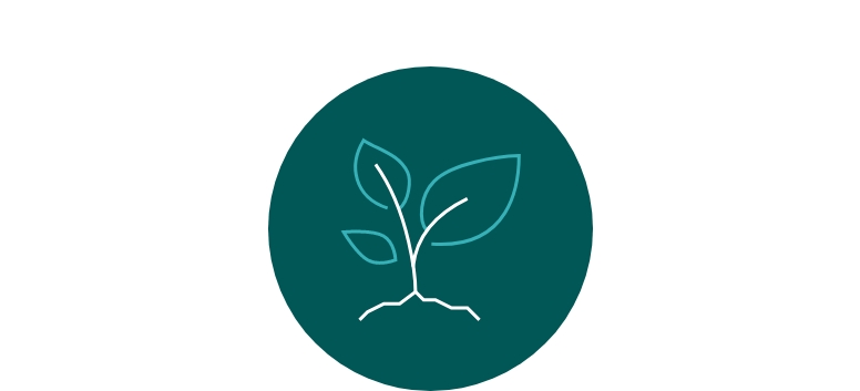 Growing Plant from Compost Icon